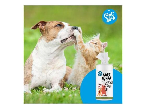 Captain Zack Wipes Right Anti-Bacterial With Aloe Vera Vitamin E & Tea Tree Oil For Dogs & Cats - Image 3